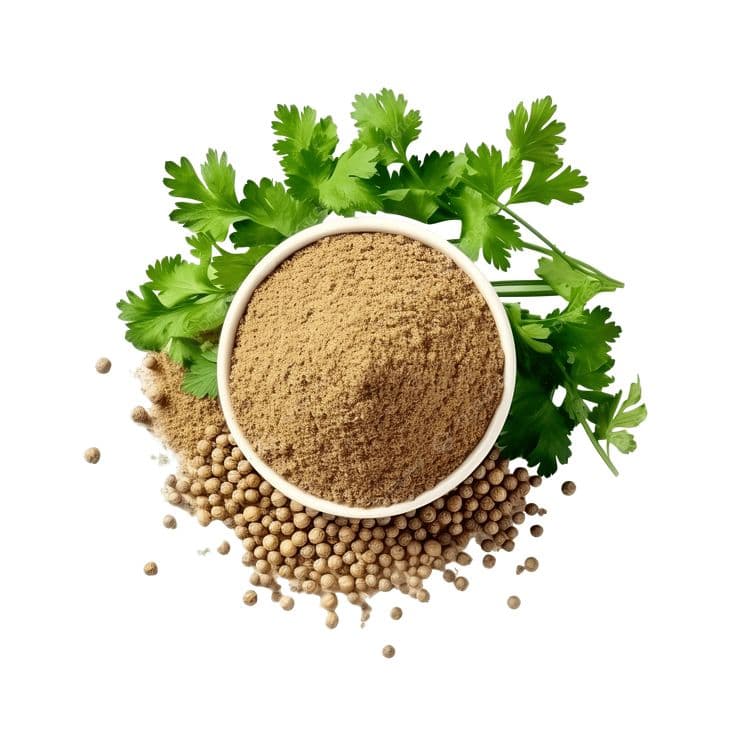 Coriander Powder 3